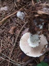 IMG_20250921_130640.jpg