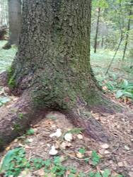 IMG_20250921_130658.jpg