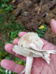 IMG_20250921_140156.jpg