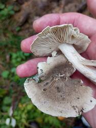 IMG_20250921_140159.jpg