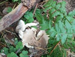 IMG_20250921_140215.jpg
