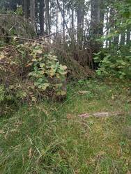 IMG_20250921_142745.jpg