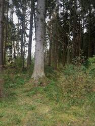IMG_20250921_143428.jpg