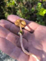 IMG_20250922_094633.jpg