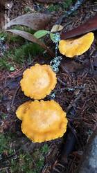 IMG_20250922_114637.jpg
