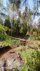 IMG_20250923_142536.jpg