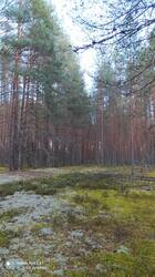 IMG_20250923_154236.jpg