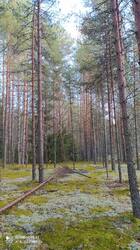 IMG_20250923_154353.jpg