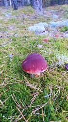 IMG_20250923_154419.jpg