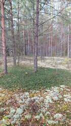 IMG_20250923_155410.jpg