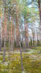 IMG_20250923_155524.jpg