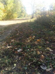 IMG_20250924_113812.thumb.jpg.cd86d9d500cc7a7c7387451bcbb9c06f.jpg