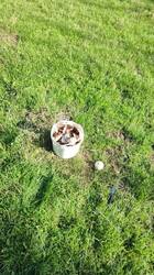 IMG_20250924_213543_439.thumb.jpg.8f3ecd3c2a20d346d2c08f605e67dff3.jpg