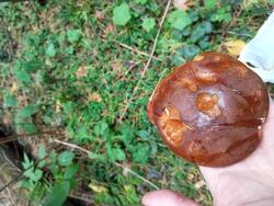 IMG_20250928_171448.jpg
