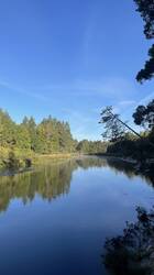 IMG_2769.jpeg