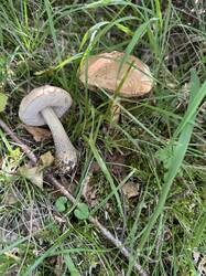IMG_3793.jpeg