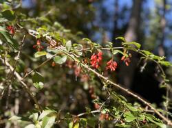 IMG_3933.jpeg