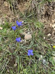 IMG_4004.jpeg