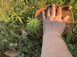 IMG_4086.jpeg