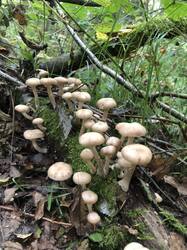 IMG_5713.jpeg