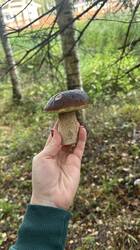 IMG_5912.jpeg