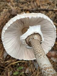 IMG_9120.jpeg