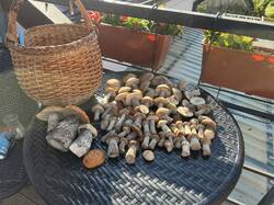 IMG_9688.thumb.JPEG.a41a5190c458dcbc9ba32d1b5d51f6ea.JPEG