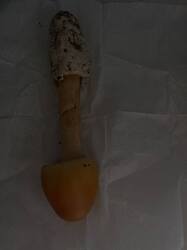 IMG_9727.jpeg