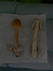 IMG_9734.jpeg