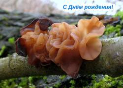 K1024_IMG_3931.thumb.JPG.38bafd392a551aa93d293e1d2b86e437.JPG