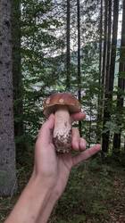 PXL_20250810_171628313.thumb.jpg.c45850e0aec4f06d5adf5cb4d3496523.jpg