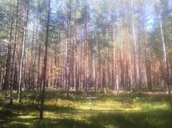 T3VHiBn0WrfXgjXY3T4AITI3e46zMk42VsR1J07H7F6i64AnV4oSTq46U0y1z0Ne2FuSM2kQWvN0SeC3QN5boDB4.jpg