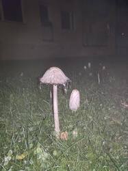 gud57.thumb.jpg.33f0667ab7443269c7dbdc5abe039483.jpg
