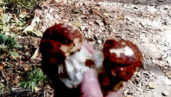 01-10-2025-2.thumb.jpg.9be5ef0b722c726213841fdf8c699ce5.jpg