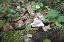 10-25-02_(4).thumb.jpg.3ea3d65e0a84023a05290f0b2f8de965.jpg