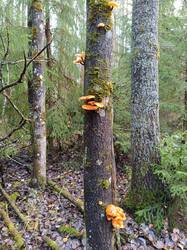 Изображение WhatsApp 2025-10-30 в 13.17.16_74e1ef84.jpg