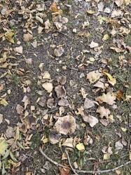 20251005_120539.jpg