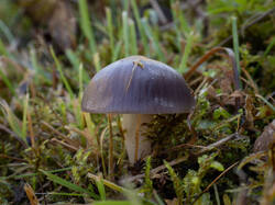 20251010-MRK33433-Enhanced-NR.thumb.jpg.69f616ca95009c711c9b51b52b2d19bf.jpg