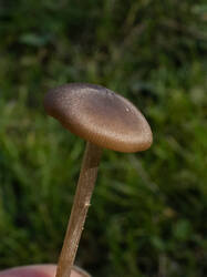 20251010-MRK33487.thumb.jpg.057dd6402a924f98275e0f0cba7dde9a.jpg
