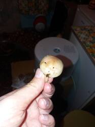 20251026_195030.jpg