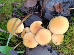 Изображение WhatsApp 2025-10-30 в 13.17.17_3db29a35.jpg