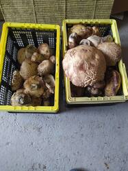 WhatsApp Image 2025-10-08 at 15.04.04.jpeg