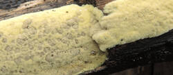 DSCN2554+.jpg