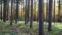 DSC00819.thumb.JPG.f28c483243f2c1b09f3fb294673d4e88.JPG