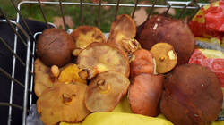 DSC00867.thumb.JPG.d9b2ac5197fc8738fffab6a452e79bb4.JPG
