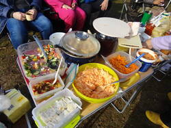 DSC06064.thumb.JPG.2d4a5f633e13c95347172a8a9477cabb.JPG
