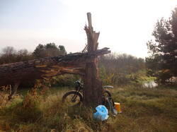 DSC06067.thumb.JPG.b7e88345018460c1b7defc7d6af93218.JPG
