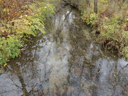 DSC06100.thumb.JPG.87b106c4a625c864b6b57d2a0c17687e.JPG