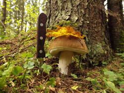 DSCF6286.JPG