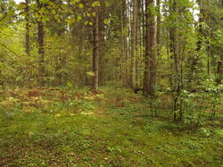 DSCF6287.JPG